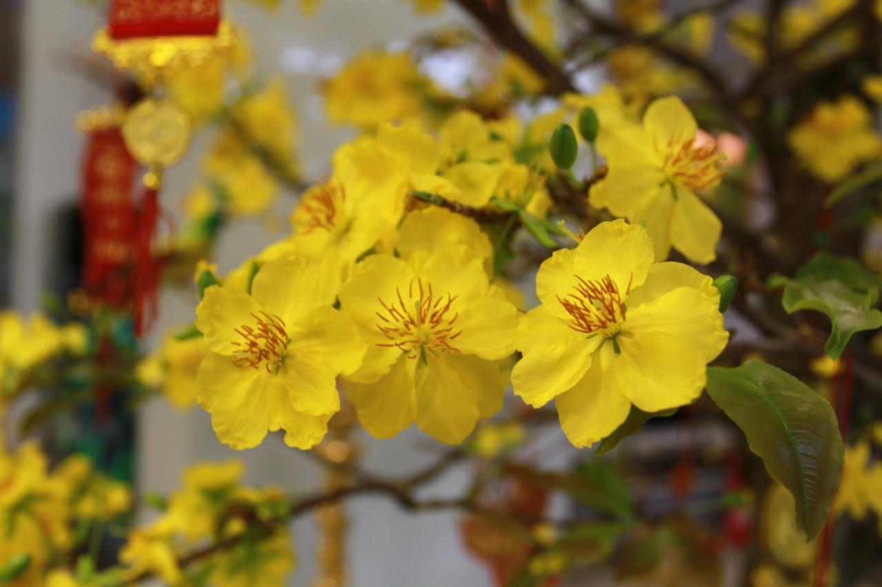Ngoc Minh Hotel Хошимин Екстериор снимка